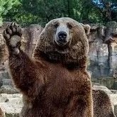 Crypto Maverick (@cryptomave70641) 's Twitter Profile