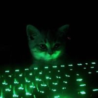 majes (@majesticdark_) 's Twitter Profile Photo majes (@majesticdark_) 's Twitter Profile Photo