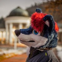 Nezuruic (@nezuruic) Twitter profile photo