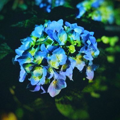 YouTube始めました。 LoL esports関連の動画をあげてます。 LoLのプロシーンを日本でもっと盛り上げたいと思っています。 お仕事の依頼やリクエスト等があればDMまでお願いします!
