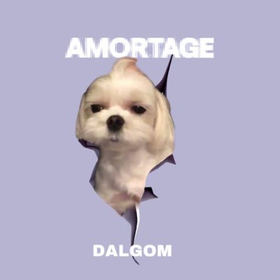 DALGOMYA_103%さんのプロフィール画像