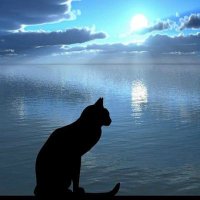 ありすฅ*ೄ (@alice77fuku) 's Twitter Profile Photo ありすฅ*ೄ (@alice77fuku) 's Twitter Profile Photo