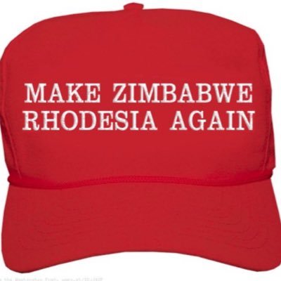 SaffaZimbo4's profile picture. “When you get older, your wild heart will live for younger days”. Rejoice O young man in thy youth #MZGA 🇿🇼 🟩⬜️🟩 #MSAGA🇿🇦 #MEGA🇮🇪 #MUKGA 🇬🇧