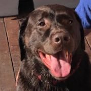 MarkJoh8147078's profile picture. ceasefire. 🇯🇴