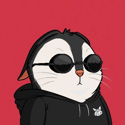 Elsiasen's profile picture. 