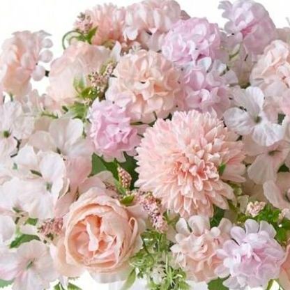 🪻お花🌷ちっちゃいもの🐿️かわいいもの🐥が好きで皆様の投稿に癒されています✨
🪻Xは🔰人生は🍁既婚です🪻ぬい撮り📷にハマり中♪🪻DMはやっていません🪻どうぞよろしくお願いします✨