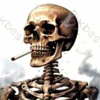 Sdhhf Gcshv (@gcshvsdhhf45465) 's Twitter Profile