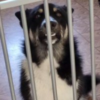 🇸🇪Sonofabonde🇺🇦 (@sonofabonde) 's Twitter Profile Photo 🇸🇪Sonofabonde🇺🇦 (@sonofabonde) 's Twitter Profile Photo