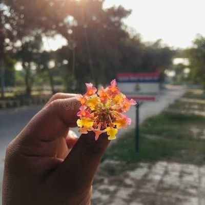 apnakamkarnatu's profile picture. #worst dm ...🚫