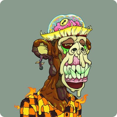 daknt Profile