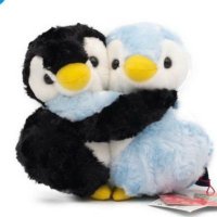 🦉 (@agatdg) 's Twitter Profile Photo