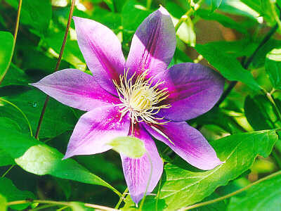 BlairSophiaPugh's profile picture. Proving Murphy's Law since 1981