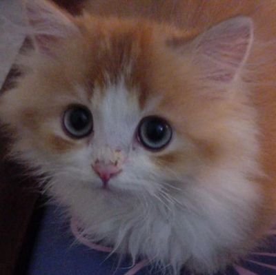 coconutst09's profile picture. 