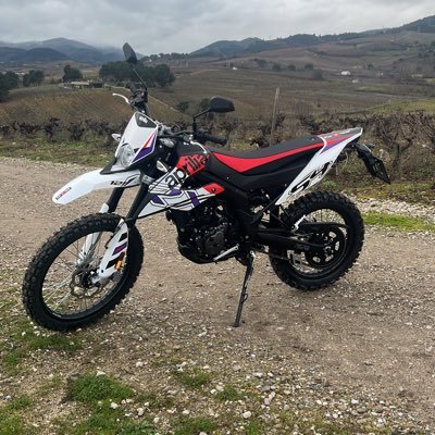 P3L4Y0_FDEZ's profile picture. Fernando Alonso💚💚💙💛