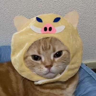 たにゃ Posts with replies by たにゃ (@kabukinoraneko) / X