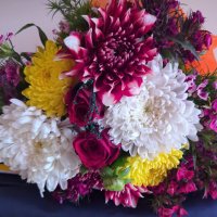 what's in a name (anonymous) (@the_shy_guy_) 's Twitter Profile Photo