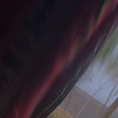 swd073374's profile picture. 