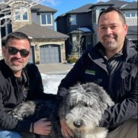 Bark Busters Calgary (@barkbustersyyc) 's Twitter Profile