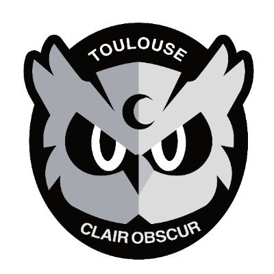 Association Smash Bros à Toulouse
Contact : clairobscur.toulouse@gmail.com