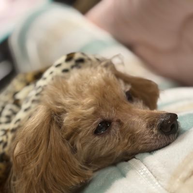 全然釣り好きじゃなかったけど、今は生活の一部( ̄▽ ̄)釣り垢じゃなかったのに今は完全に釣り垢になってしまった(;´∀`)・・ァハハハ・・ハハ・・ハ・・