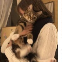 Stephanie Lyons (@stephaniel3773) 's Twitter Profile