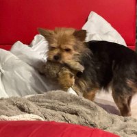 Phil (@professornessie) 's Twitter Profile Photo