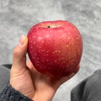 おさしみ (@osasimipaku) 's Twitter Profile