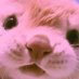 kat! (@katrinadlc) Twitter profile photo kat! (@katrinadlc) Twitter profile photo