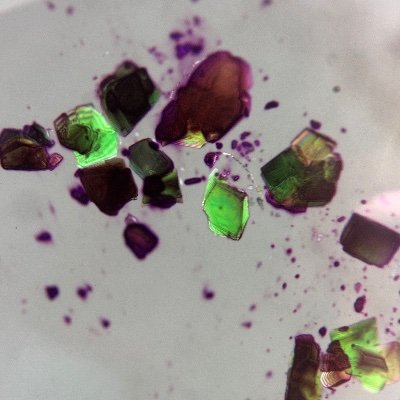 ICFE12's profile picture. 12th International Conference on f-Elements
