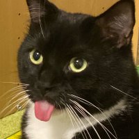 藍(eYe) (@tgfln) 's Twitter Profile