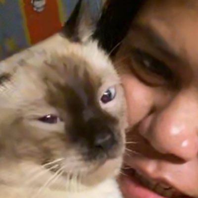 Krisynt's profile picture. Sleepy 24/7