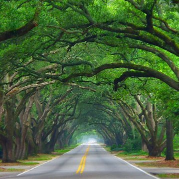 AikenWollend's profile picture. hanya terdiam