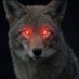 coyote whisperer (@coyotewh1sperer) Twitter profile photo coyote whisperer (@coyotewh1sperer) Twitter profile photo