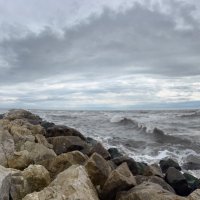 Aletta (@aletta) 's Twitter Profile