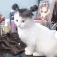 Rno (@renaa7d) 's Twitter Profile