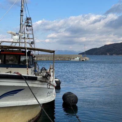No_1MinatoMirai's profile picture. 底曳きやってます🐟海を行き来するお船、お魚、猫ちゃん等、色々ツイートします😼どうぞ宜しくお願いします。