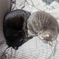 yusuke (@fl2foqzglbbo62o) 's Twitter Profile