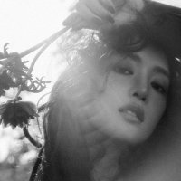 CryptoPimpsNFT | MINTING NOW 🪶 (@minting_no18909) 's Twitter Profile