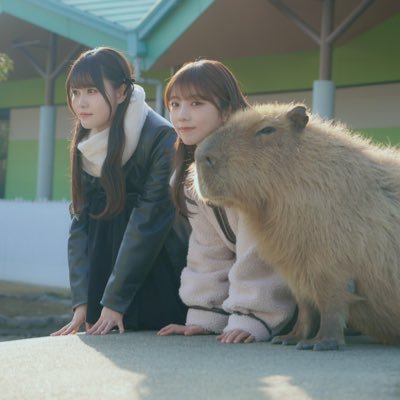ハルマゲドンさんのプロフィール画像