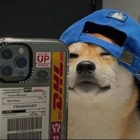 DeFi-G (@defig459693) 's Twitter Profile