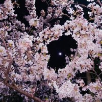 輝樹 (@j1uoql3fyfpd11d) 's Twitter Profile