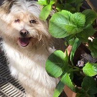 Ettore (@ebrighinatinit1) 's Twitter Profile