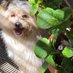 Ettore (@ebrighinatinit1) Twitter profile photo Ettore (@ebrighinatinit1) Twitter profile photo