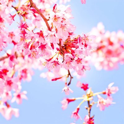 takiさんのプロフィール画像