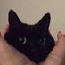 kasval (@muskydergad) Twitter profile photo kasval (@muskydergad) Twitter profile photo
