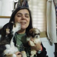 Emilia BE 💛🐝🌻🐾 🇦🇷 (@baileemili) 's Twitter Profile