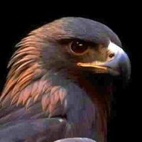ASIM US (@asimus03092008) 's Twitter Profile