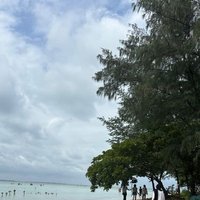 shira (@cloudyninty) 's Twitter Profile