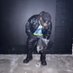 Dj Moon (@8800moon) Twitter profile photo Dj Moon (@8800moon) Twitter profile photo