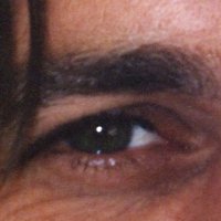 Gimpel (@gimpel40229645) 's Twitter Profile